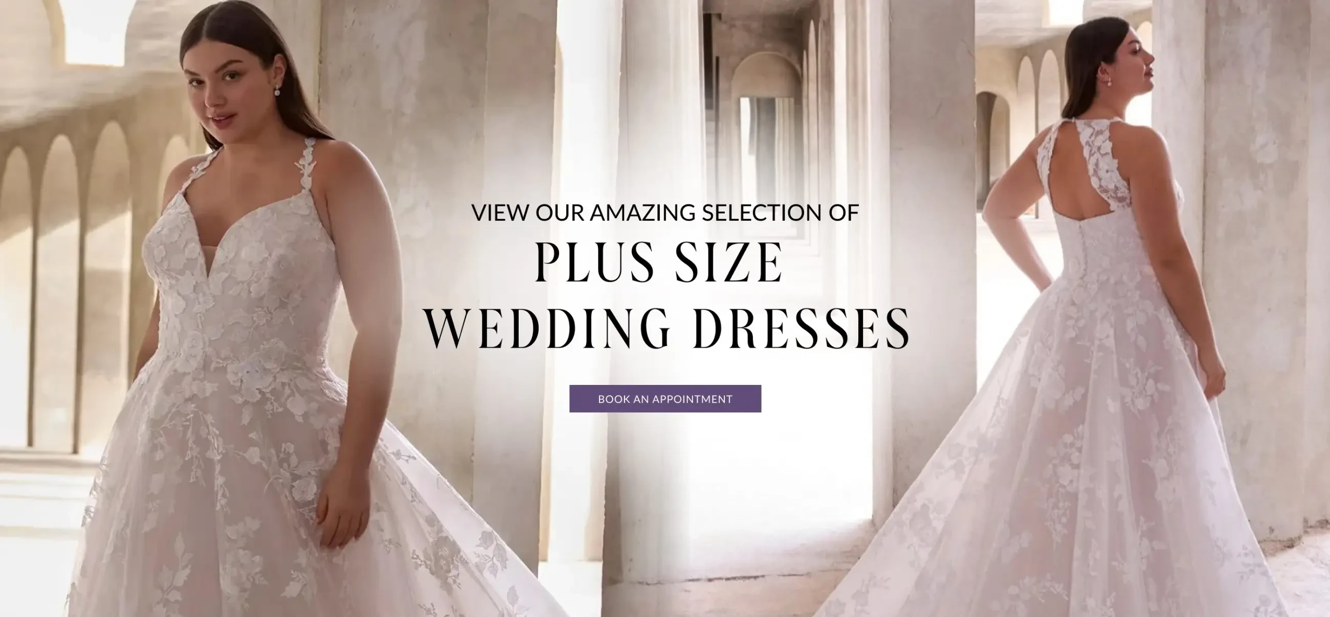 Plus Size Wedding Dresses at Bridal Novias