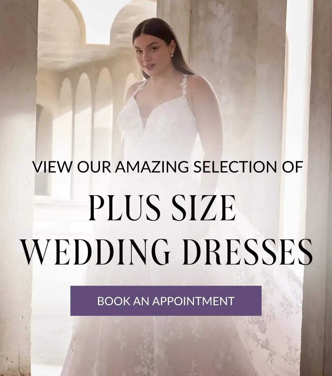 Plus Size Wedding Dresses at Bridal Novias
